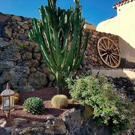 In Finca Mit Sauna - F7054 - #92392 Διαμέρισμα Icod De Los Vinos